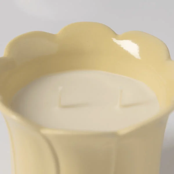 Wild Honeysuckle & Willow Scentsy Candle (Easter 2026)