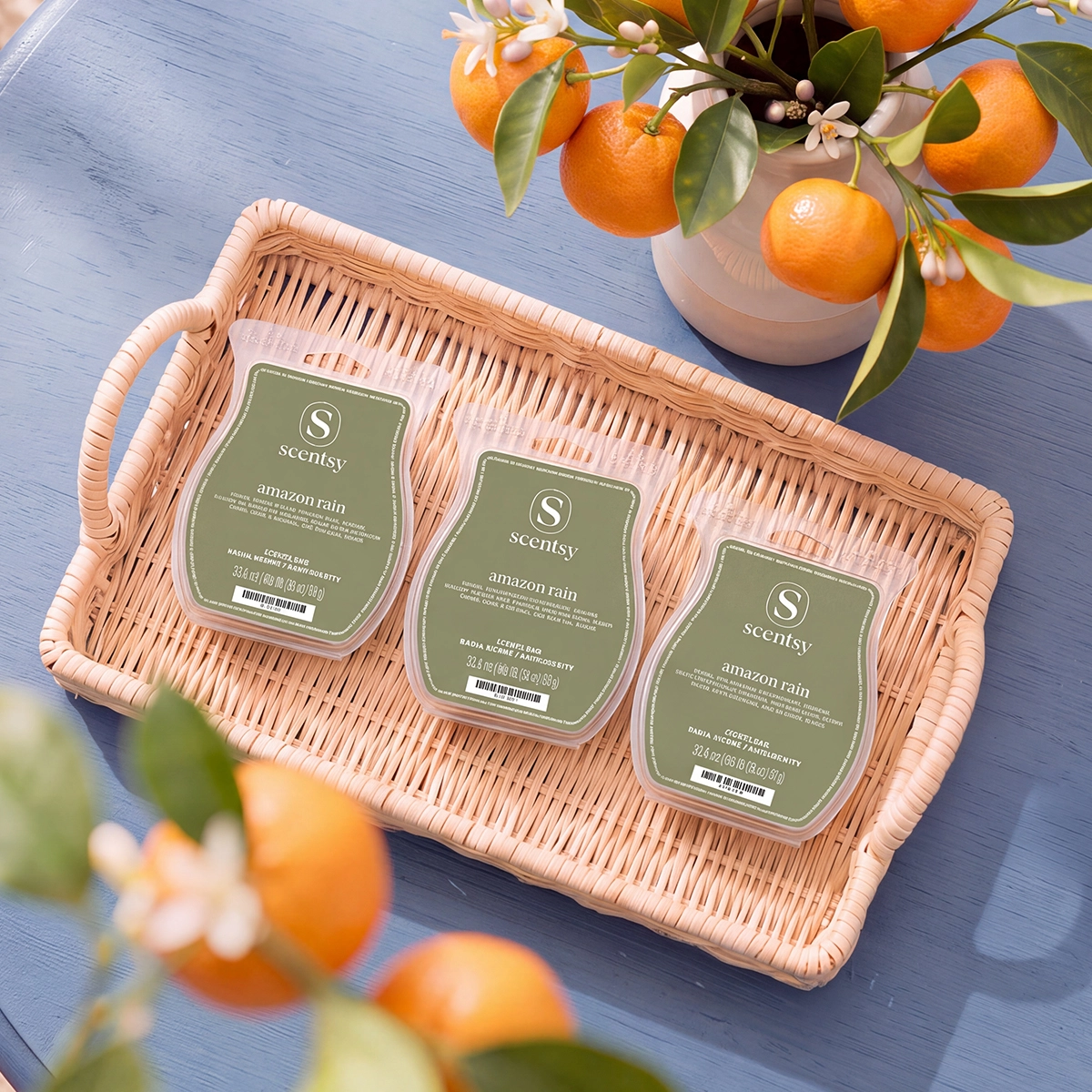 Scentwaxamazonrain1R12026C04E1Abe86104020A1Dabd7B0F121C83_Highres Amazon Rain 3 Scentsy Bar Bundle
