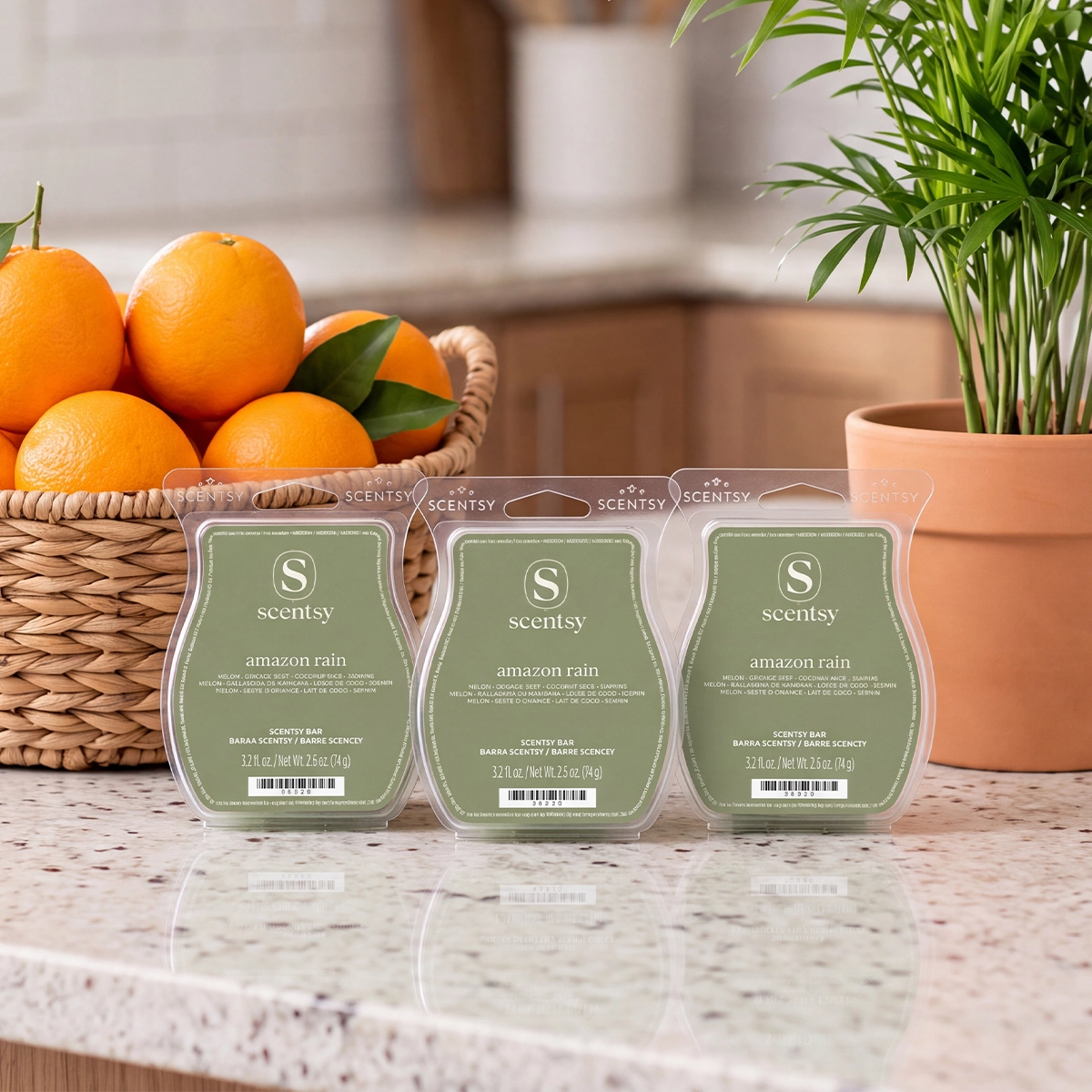Scentwaxamazonrain2R12026Aedb364C573849D1B488E88B33F9Bab3_Highres Amazon Rain 3 Scentsy Bar Bundle