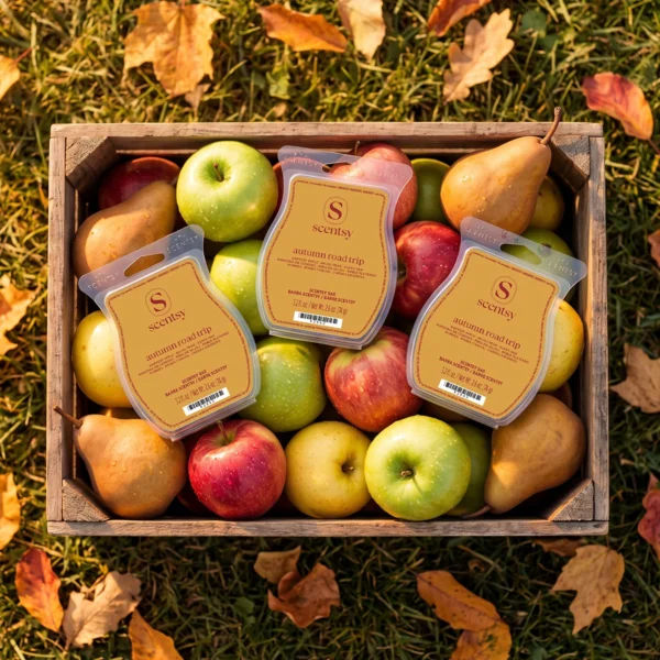 Scentwaxautumnroadtrip267Cbb0Cc5D4C4593866A26C3E276B7F3_Highres Autumn Roadtrip 3 Scentsy Bar Bundle