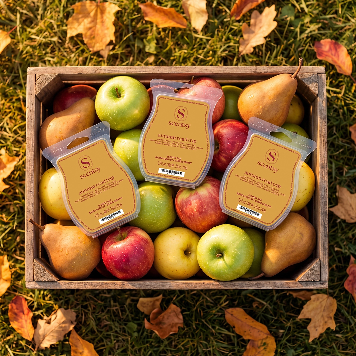 Scentwaxautumnroadtrip267Cbb0Cc5D4C4593866A26C3E276B7F3_Highres Autumn Roadtrip 3 Scentsy Bar Bundle