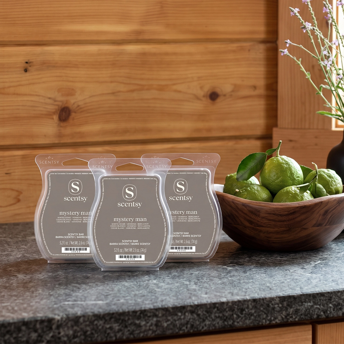 Mystery Man 3 Scentsy Bar Bundle
