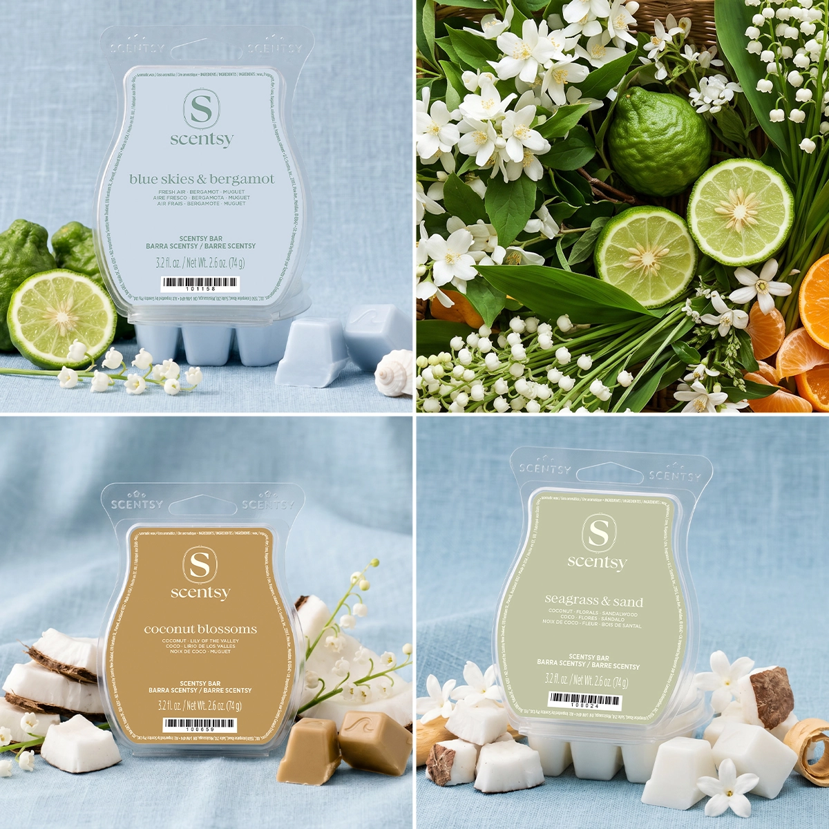 Tide & Tropicals 3 Scentsy Bar Bundle