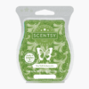 SEA SALT AVOCADO SCENTSY BAR