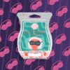 Shut Eye Scentsy Bar | Catching Zzzs Sleeping Wax Collection