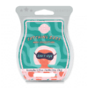 Shut Eye Scentsy Bar | Catching Zzzs Sleeping Wax Collection