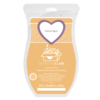 Skinny Dippin' Scentsy Brick