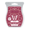 SNOWBERRY SCENTSY BAR