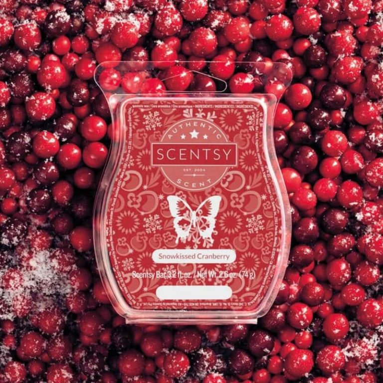 SNOWKISSED CRANBERRY SCENTSY SCENT CIRCLE