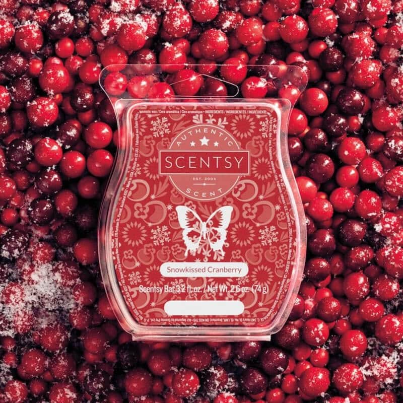 SNOWKISSED CRANBERRY SCENTSY BAR