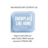 SNOWPLACE LIKE HOME SCENTSY SCENT CIRCLE