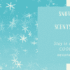 SNOWPLACE LIKE HOME SCENTSY SCENT CIRCLE