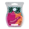 Catching Zzzs Sleep Scentsy Wax Collection