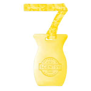 Squeeze the Day Scentsy Car Bar