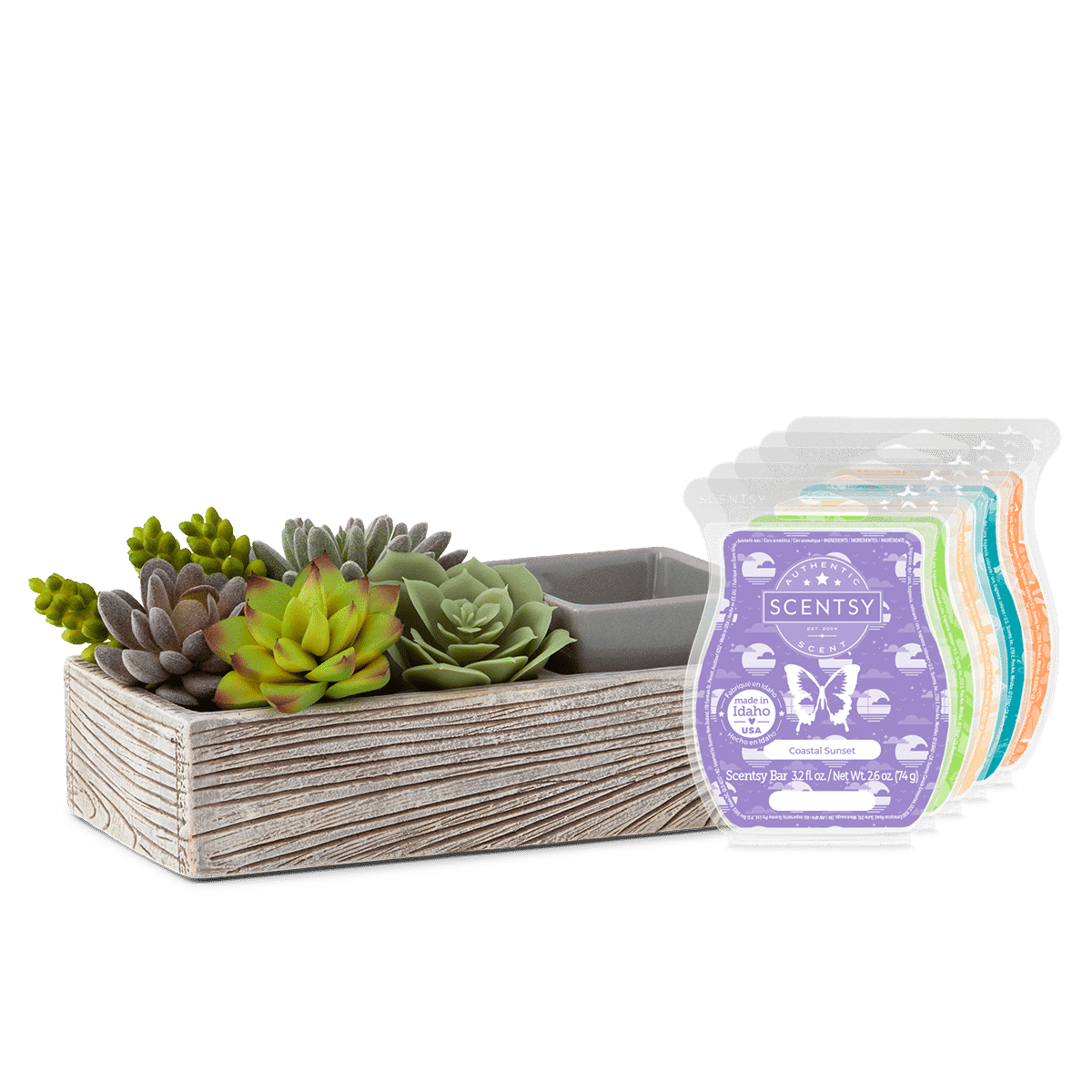 SS22 WarmerWaxBundle Suc Cute Lent ISO R1