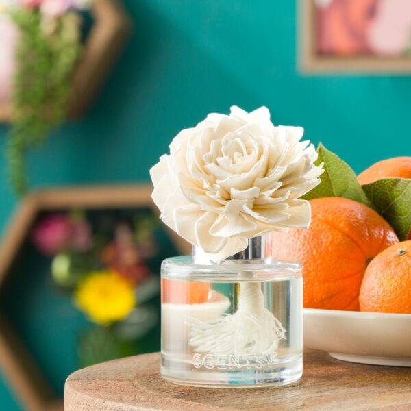 SS23 FlowerandGarden FragranceFlower R1