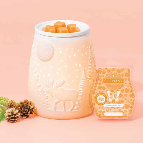 STARRY FRONTIER SCENTSY WARMER 1