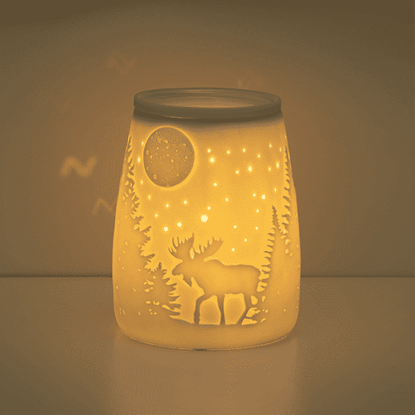 STARRY FRONTIER SCENTSY WARMER GLOW 1