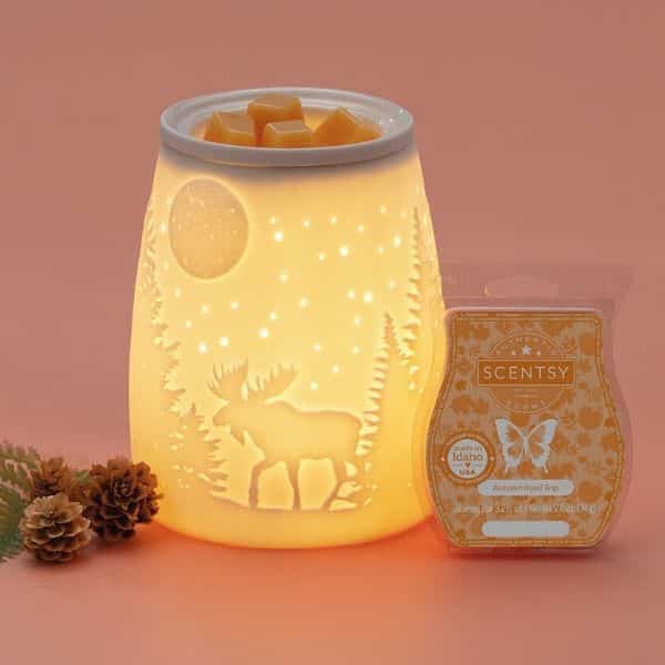 STARRY FRONTIER SCENTSY WARMER