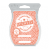 STRAWBERRY ROCKMELON SCENTSY BAR