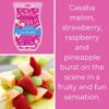 Summer Berry Melon Scentsy Brick