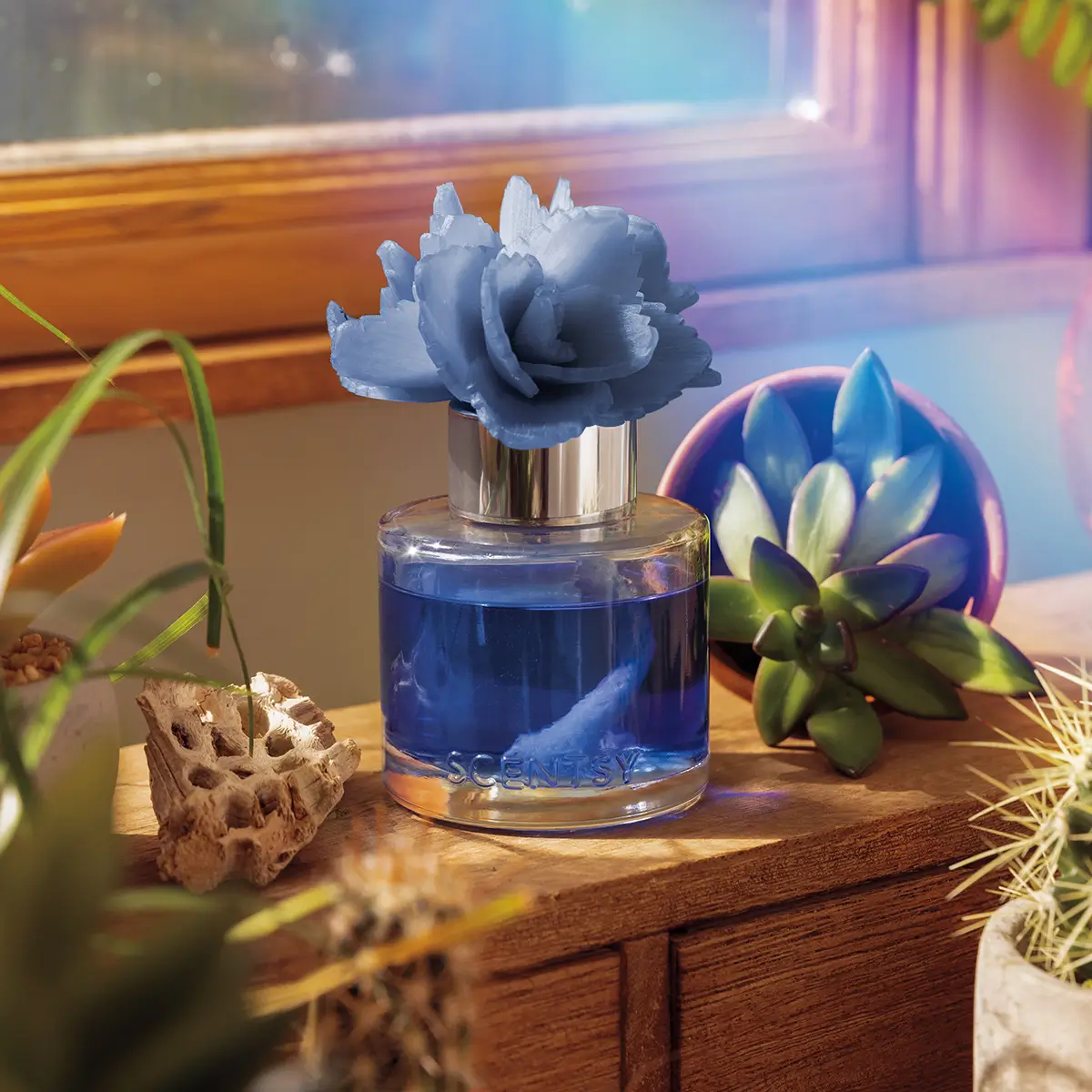 Scentsy Puddles & Petals Wax & Flower Collection | Shop Now