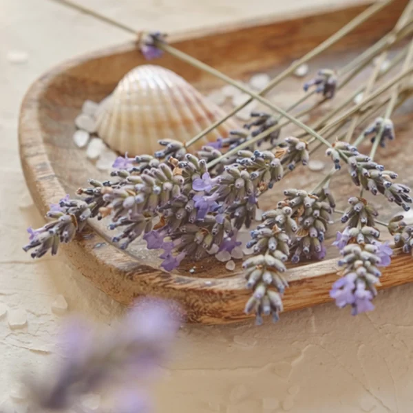 Salted Lavender Scentsy Wax Bar - May 2026 BBMB