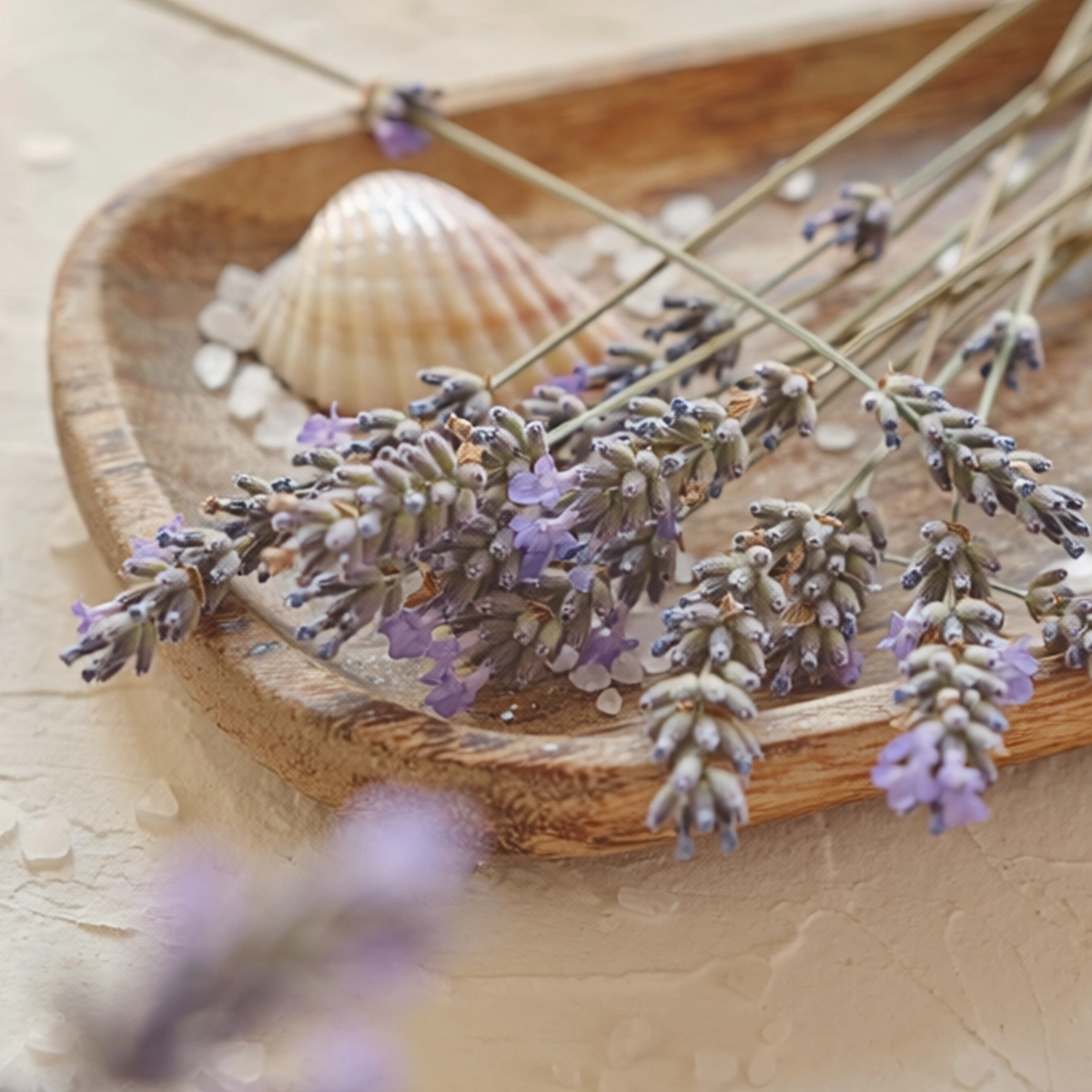 Saltedlavenderfragrancenotes1200X1200Ra2026_Highres Salted Lavender Scentsy Wax Bar - May 2026 BBMB