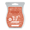 Sandalwood Tangerine Scentsy Bar