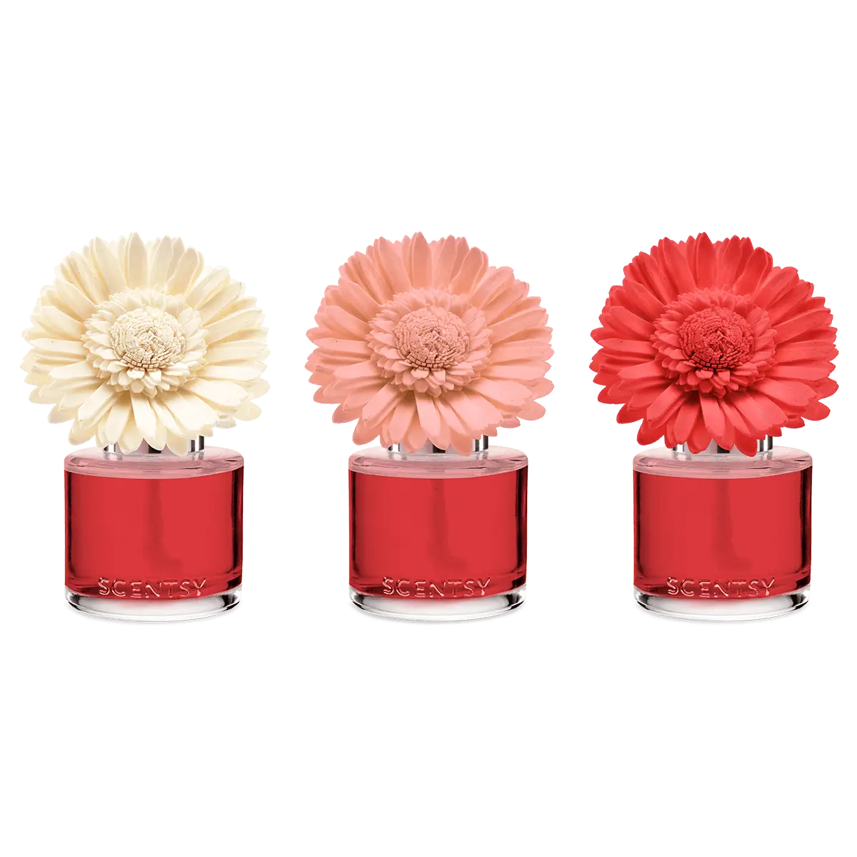 Santorini Blossoms Scentsy Fragrance Flower