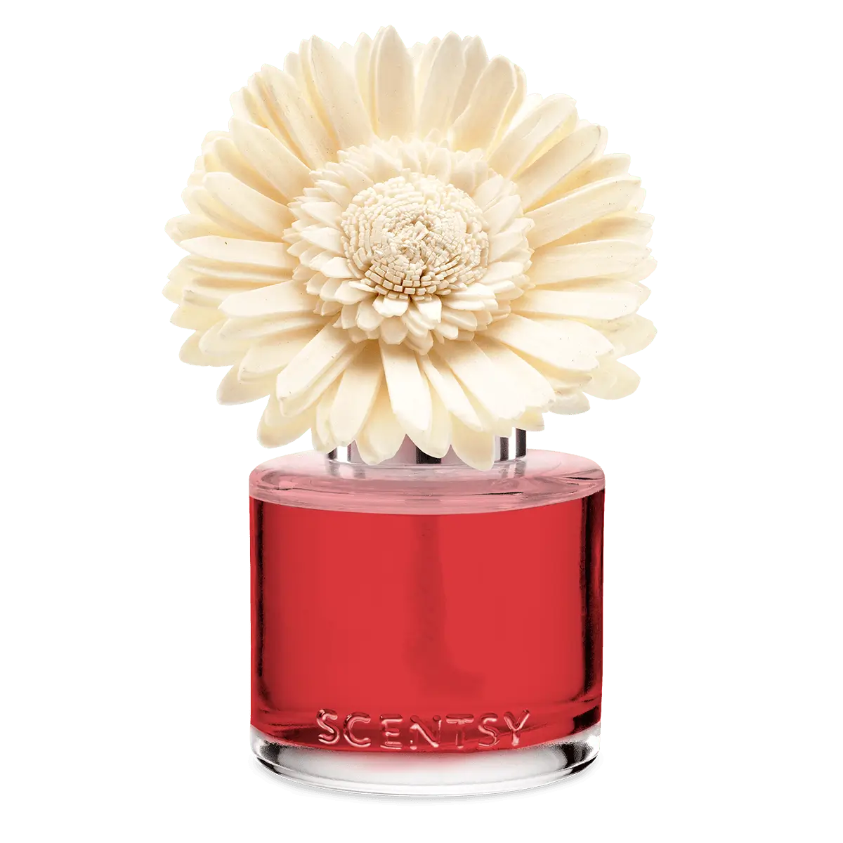 Santorini Blossoms Scentsy Fragrance Flower