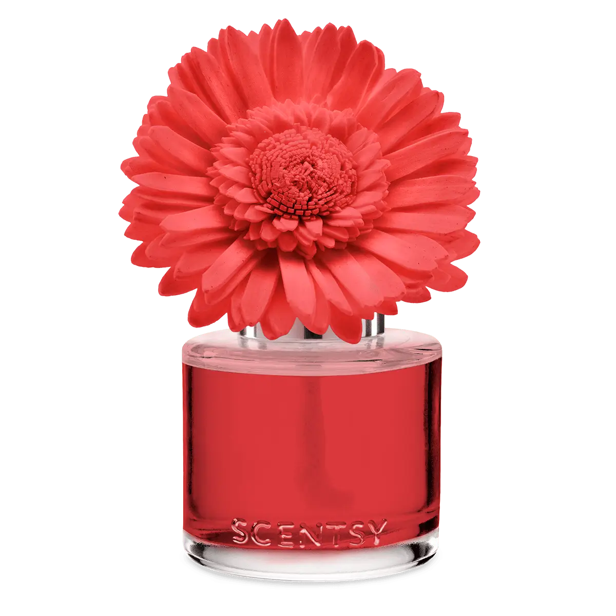 Santorini Blossoms Scentsy Fragrance Flower
