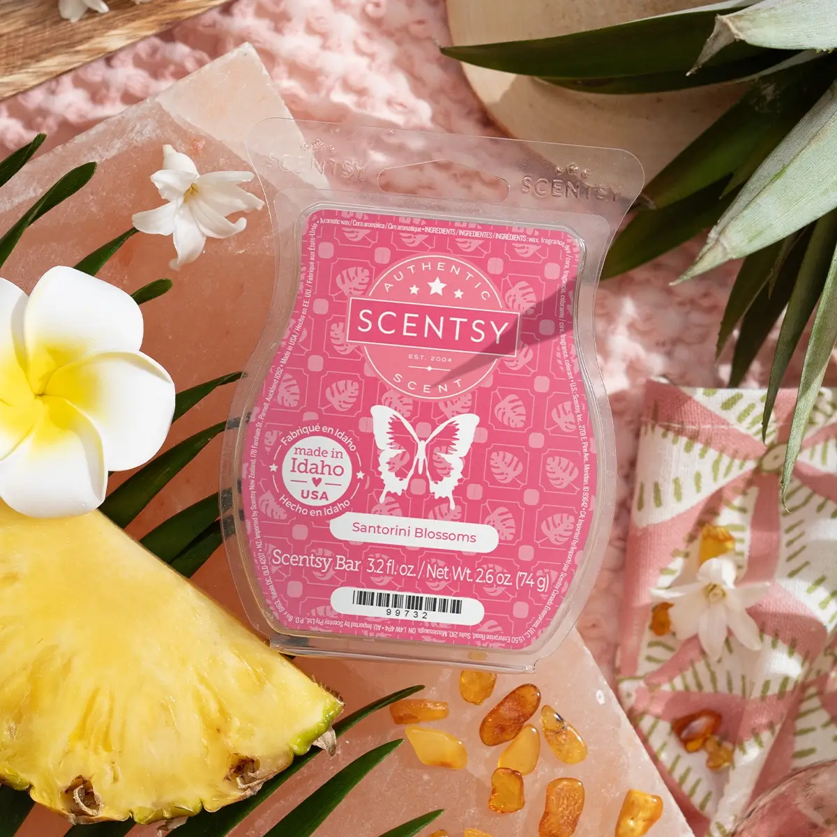 Scentsy 2025 Summer Destinations Collection | Shop 6/1