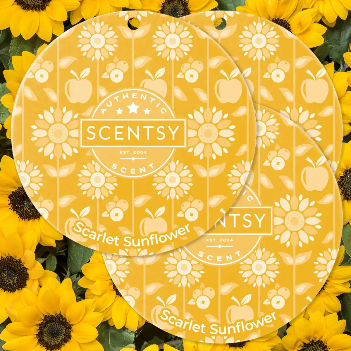 Scarlet Sunflower Scentsy Scent Circle 3 Pack Bundle
