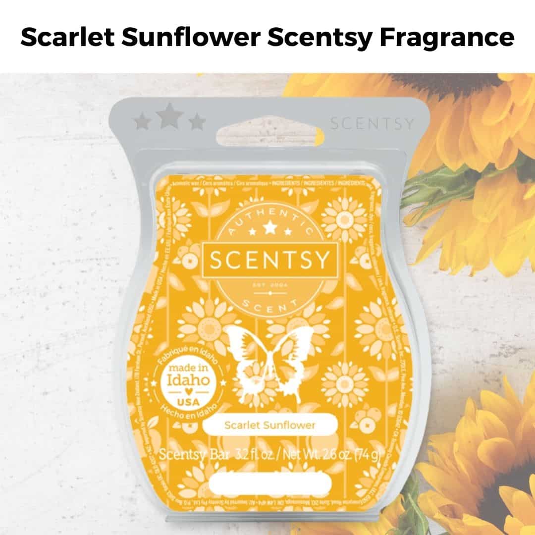 Scarlet Sunflower Scentsy Fragrance | NEW! Scarlet Sunflower Scentsy Scent Circle | Incandescent.Scentsy.us Scarlet Sunflower Scentsy Fragrance | NEW! Scarlet Sunflower Scentsy Scent Circle | Incandescent.Scentsy.us