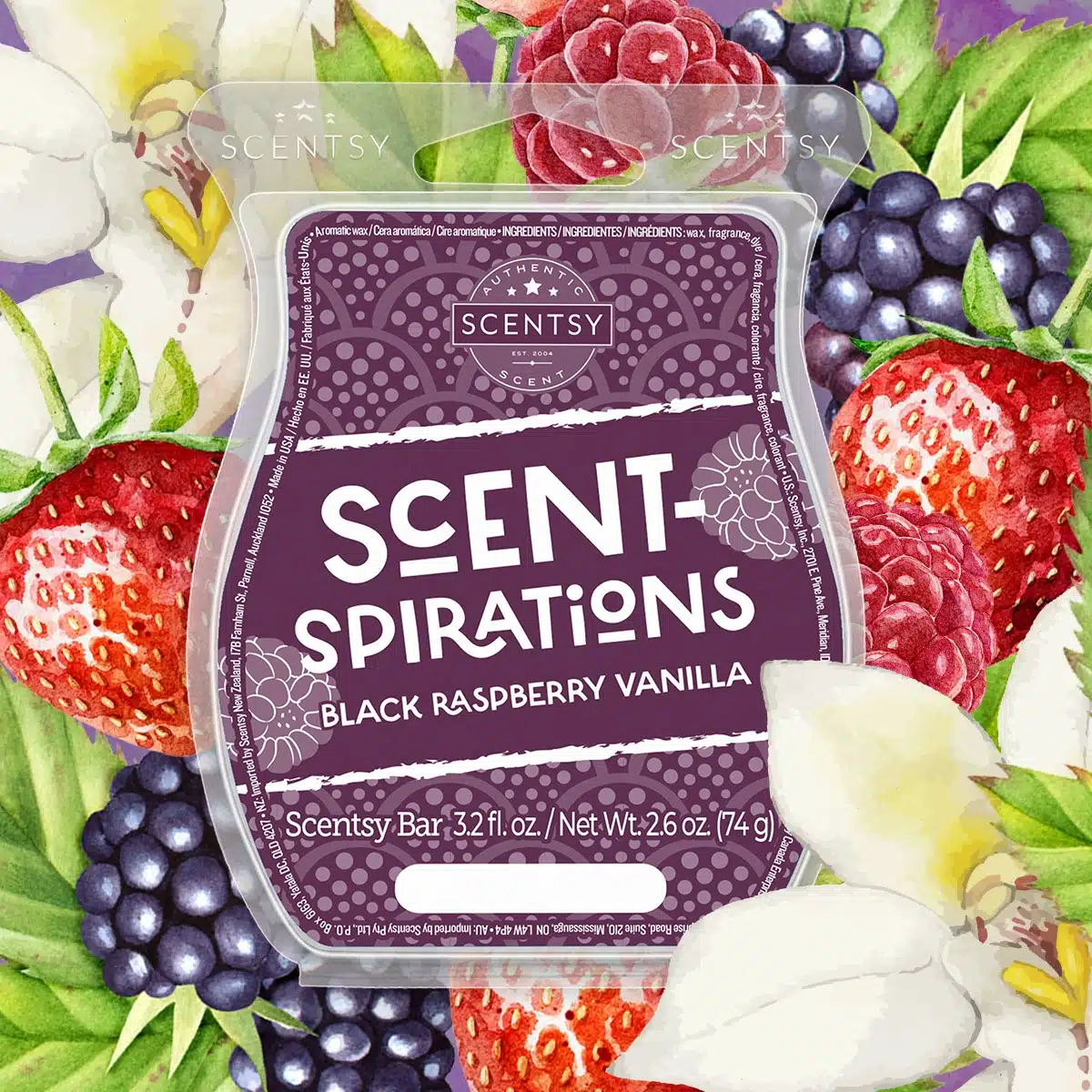 Scentsy Scent-Spirations 2024 Black Raspberry Vanilla Collection | Shop ...