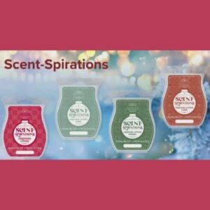 Willy Wonka Scentsy Wax Collection | November 2023