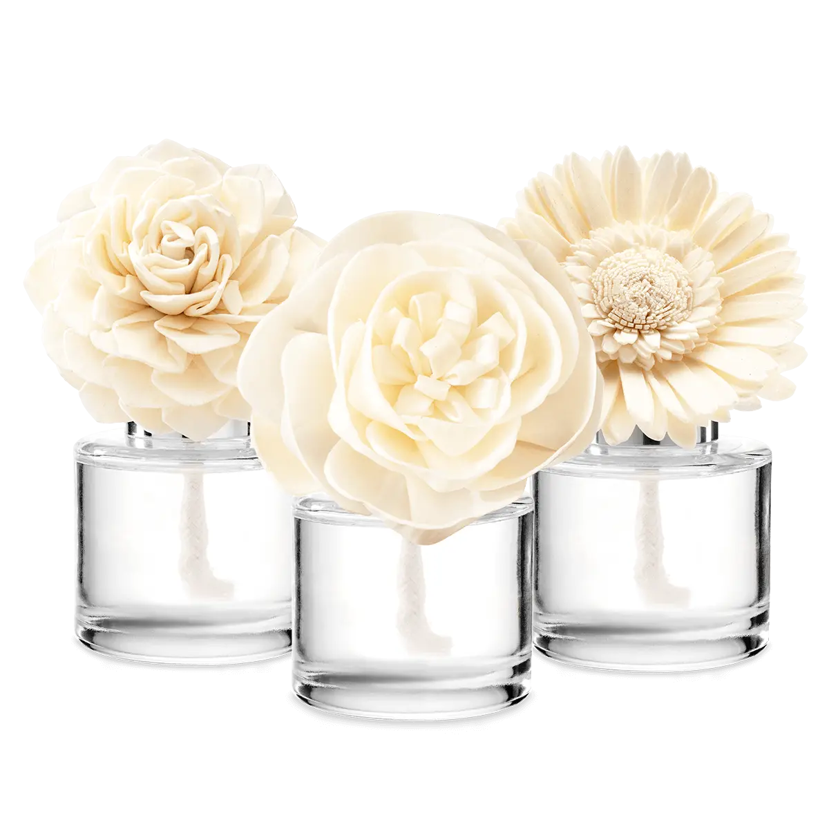 In My Blooming Era 3 Scentsy Fragrance Flower Bundle