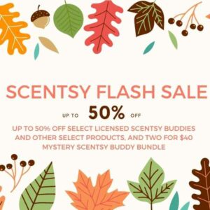 Scentsy 1111 Flash sale 600 x 600 px 1