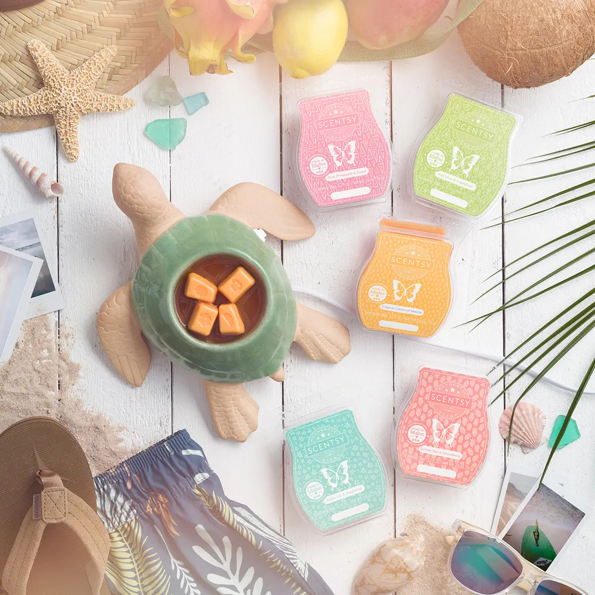 Scentsy 2024 Summer Collection