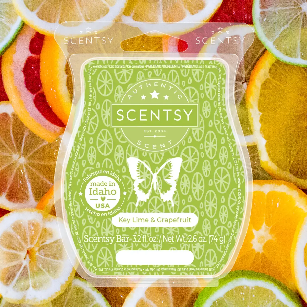 Scentsy 2024 Summer Collection