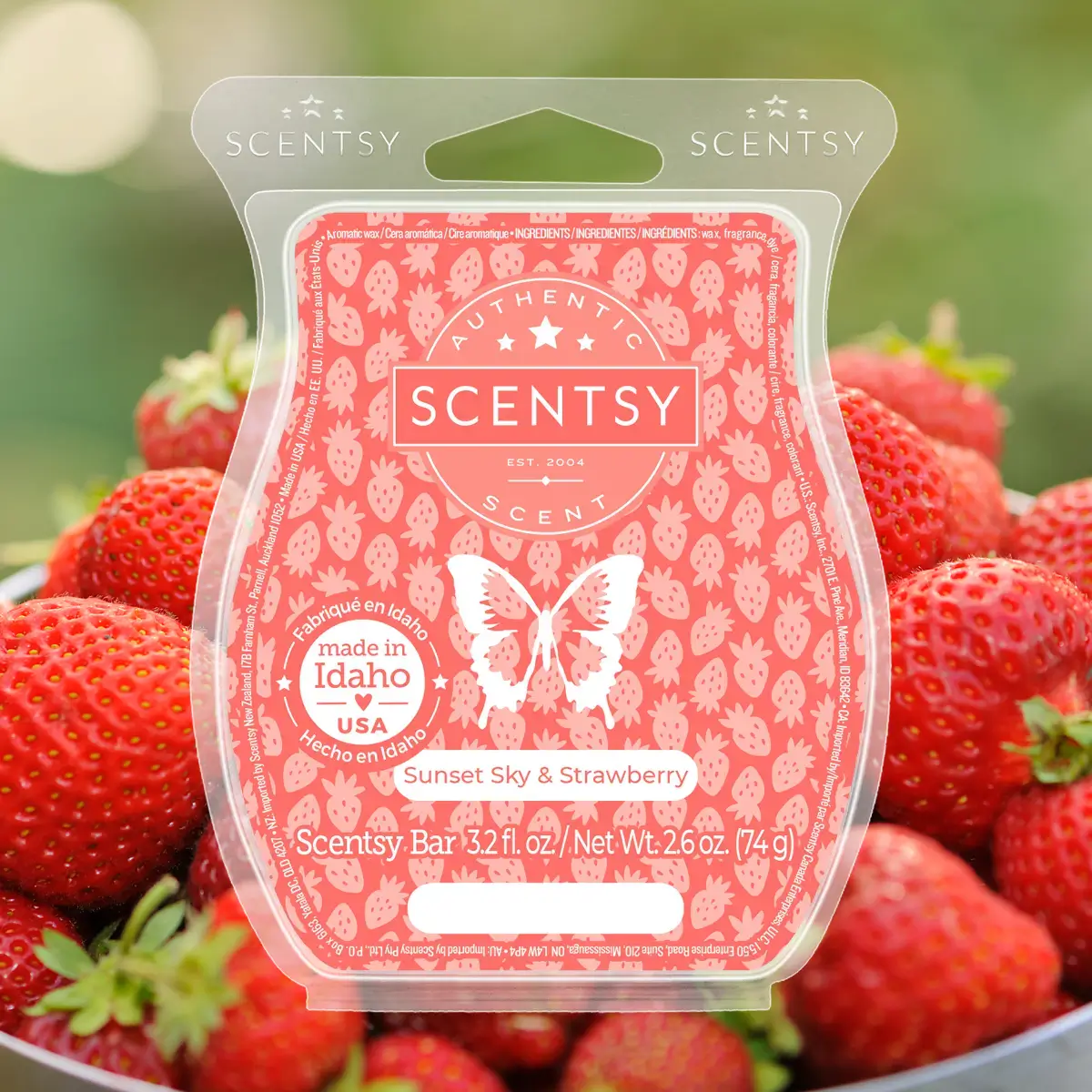 Scentsy 2024 Summer Collection