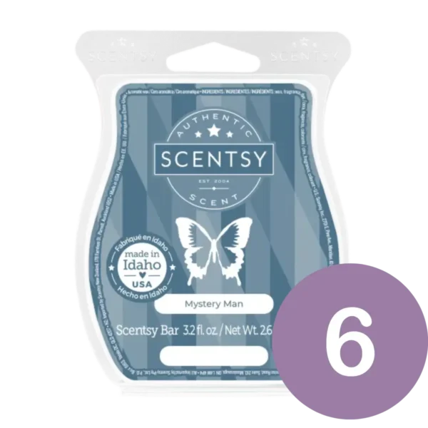 Mystery Man Scentsy 6 Bar Bundle