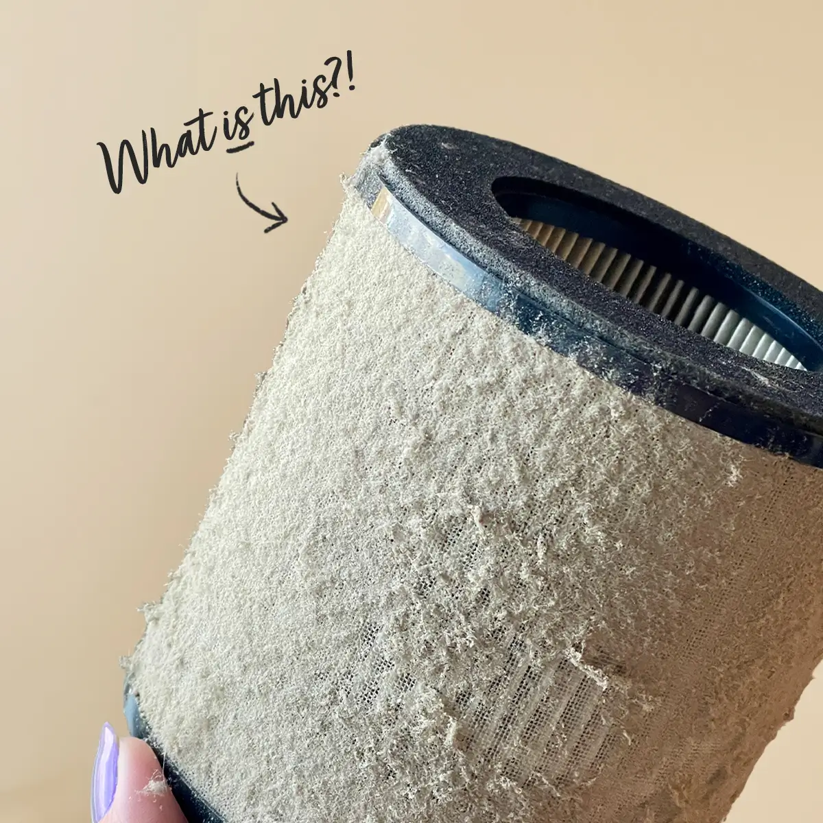 Scentsy Air Purifier January 2025 Special - Additional Air Filter