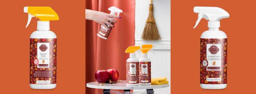 Apple & Cinnamon Sticks Scentsy Bathroom Cleaner