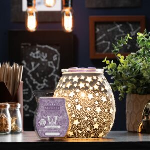 Scentsy August 2021 Warmer of the month