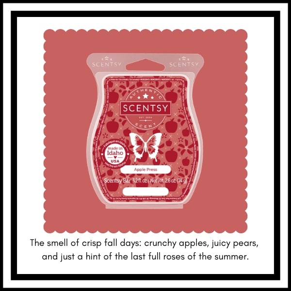 Scentsy BBMB January 2023 11