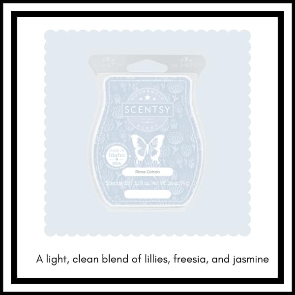 Scentsy BBMB January 2023 14