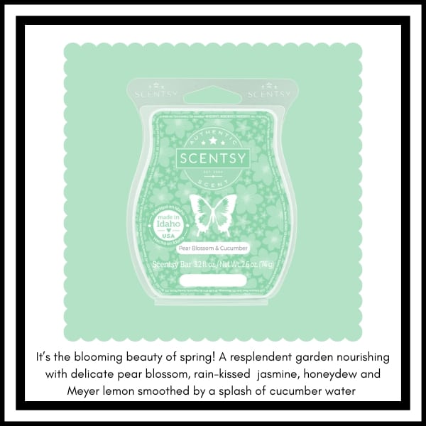 Scentsy Bbmb January 2023 15 Scentsy BBMB January 2023 15