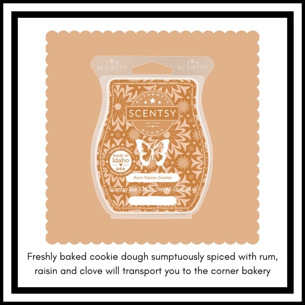 Scentsy BBMB January 2023 17